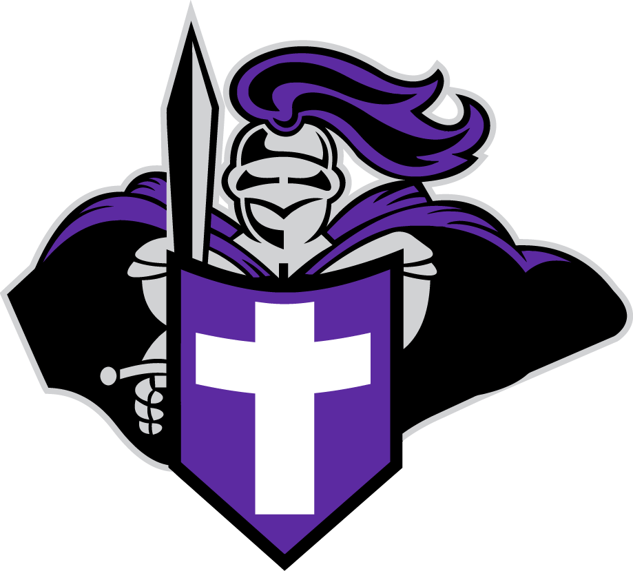 Holy Cross Crusaders 1999-Pres Partial Logo DIY iron on transfer (heat transfer)